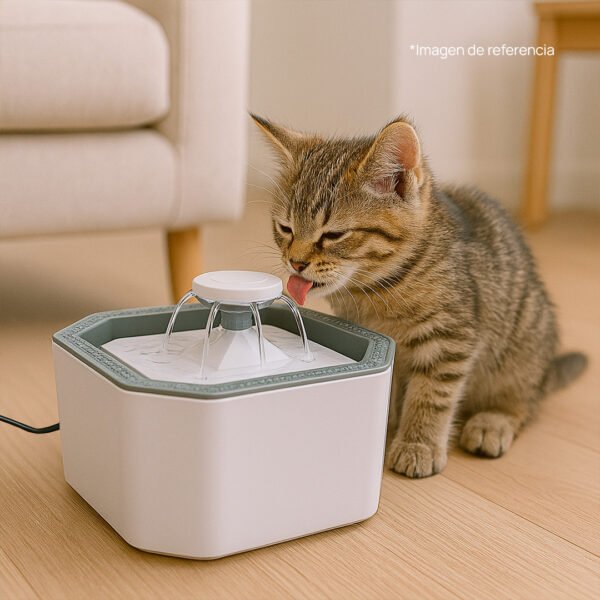Fuente para mascota - Image 3
