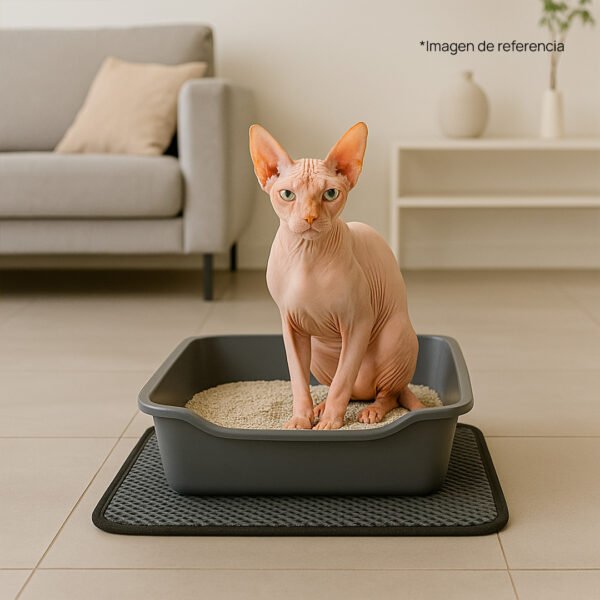 Tapete pequeño - Image 3
