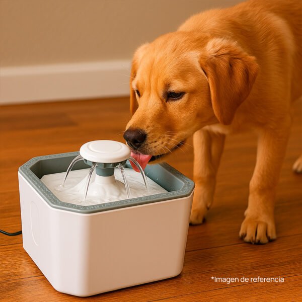 Fuente para mascota - Image 4