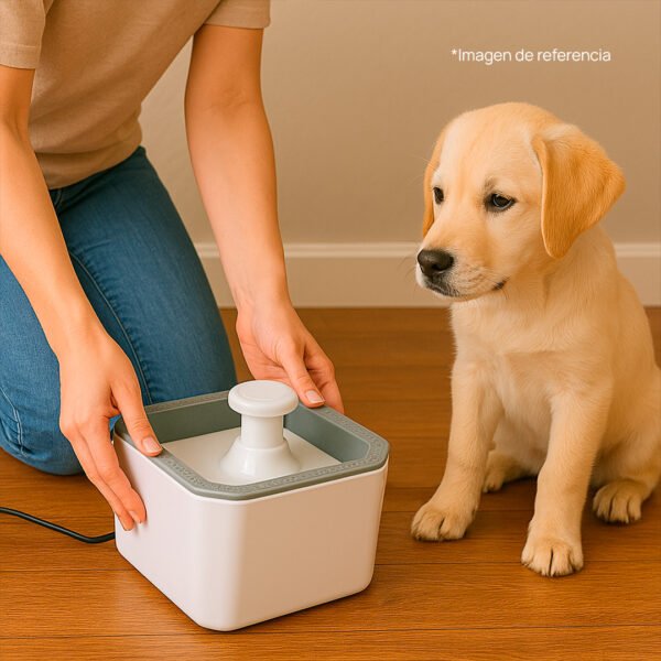 Fuente para mascota