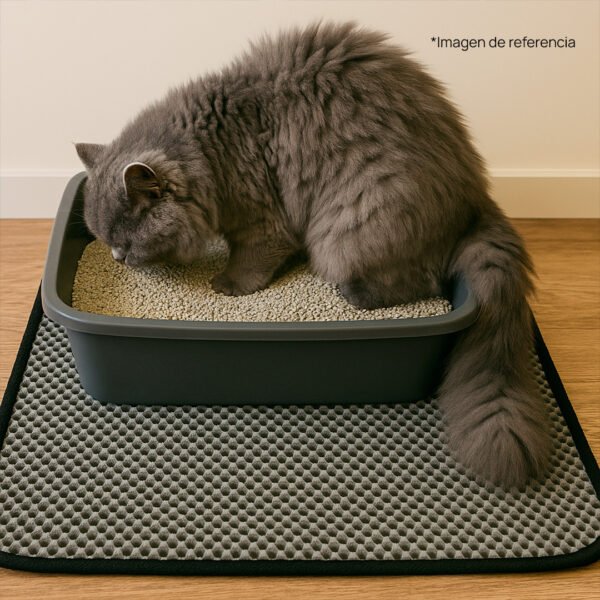 Arena para gato - Image 4
